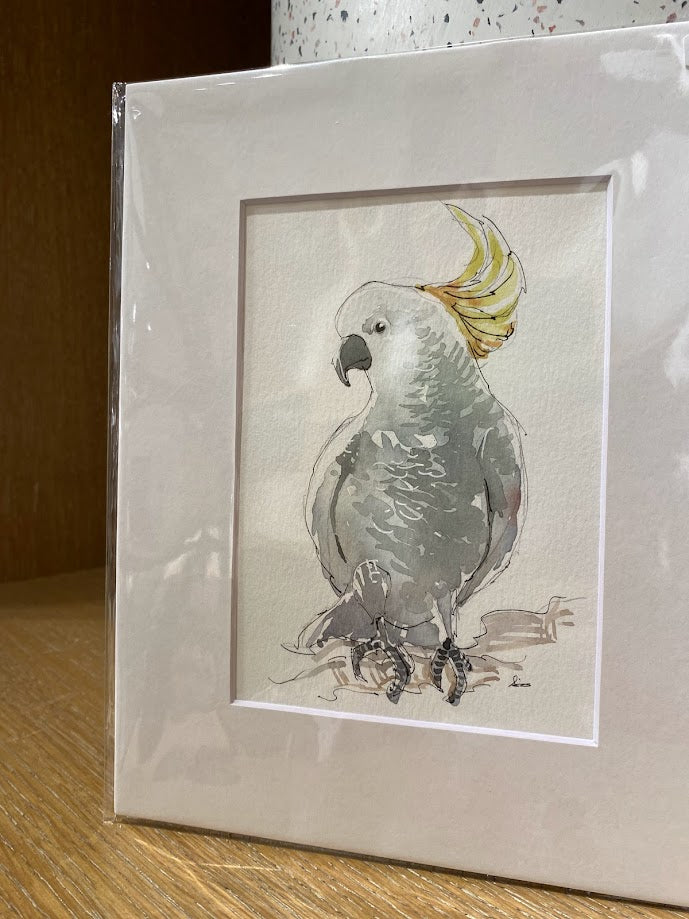 Cockatoo - Bird - Watercolor - Signed Prints