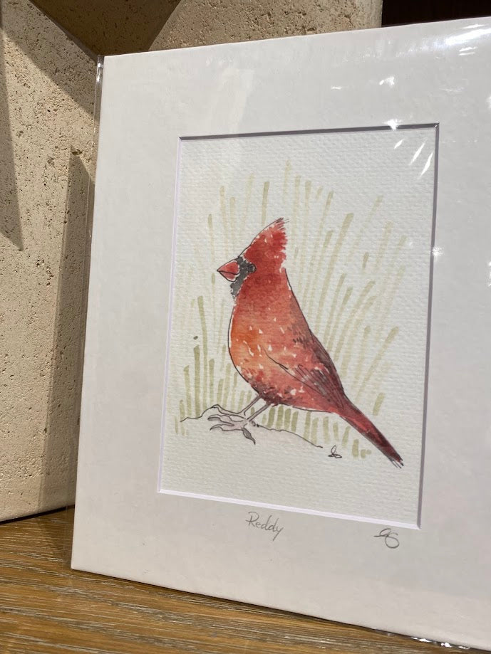 Cardinal - Bird - Watercolor - Signed Prints
