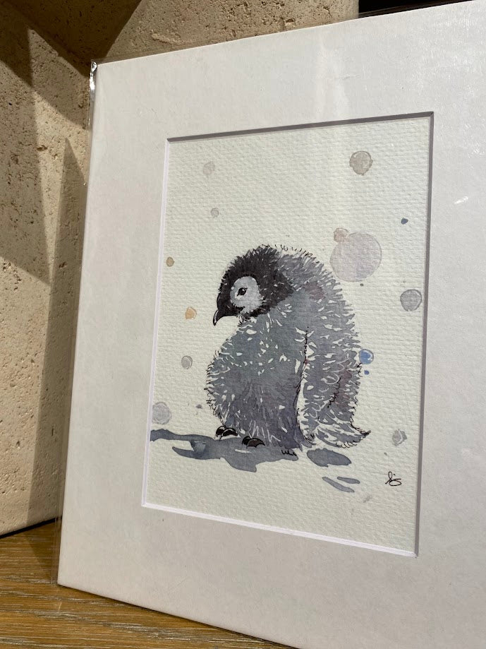Penguin - Shy - Watercolor - Signed Prints