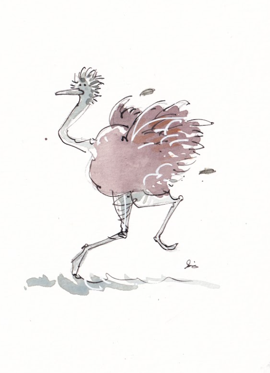 Ostrich Running - Watercolor - Signed Prints