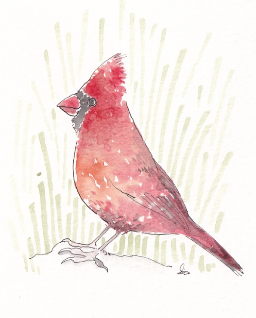 Cardinal - Bird - Watercolor - Signed Prints
