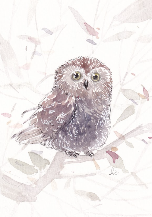 Autumn Owl - Bird - Watercolor - Signed Prints