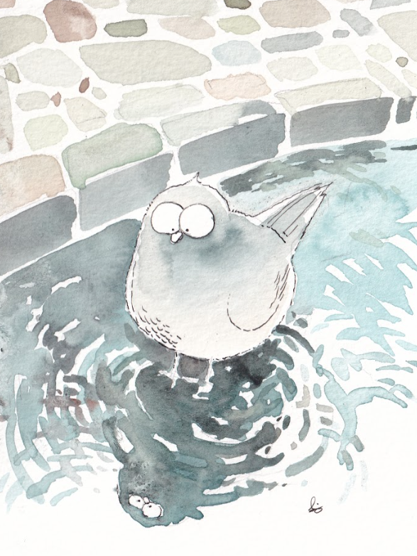 City Pigeon - Puddle - Watercolor - Signed Prints