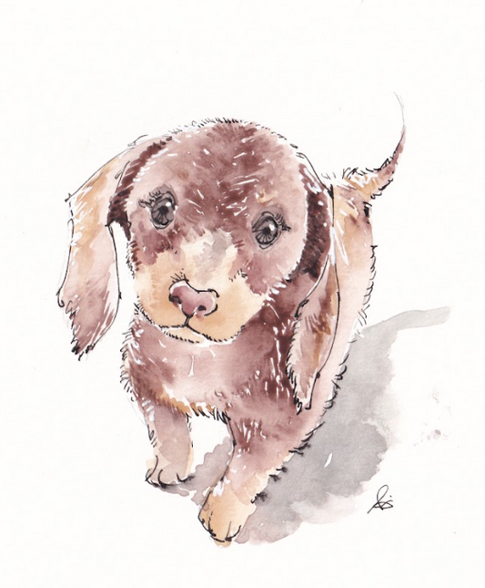 Dog - Daschund - Watercolor - Signed Prints