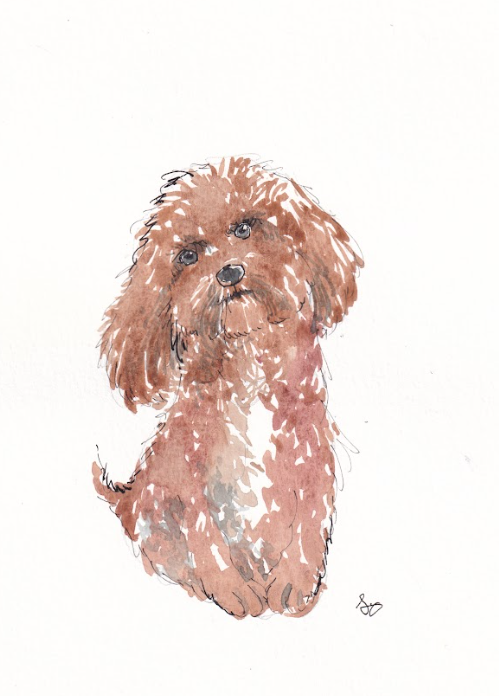 Dog - Goldendoodle - Watercolor - Signed Prints