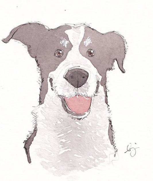 Happy Dog - Watercolor - Signed Prints