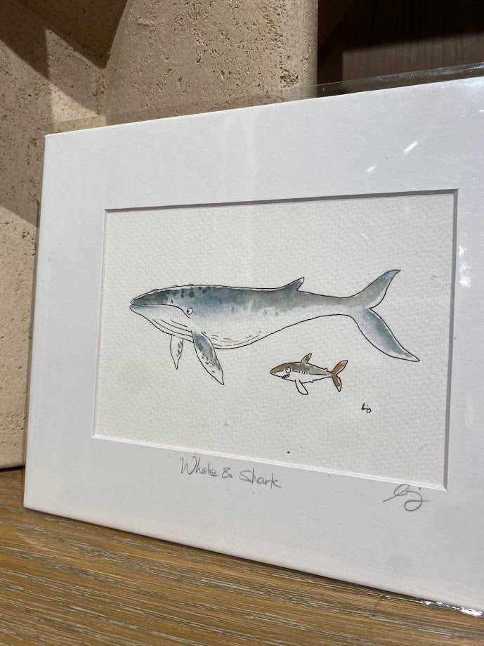 Whale and Shark - Watercolor - Signed Prints