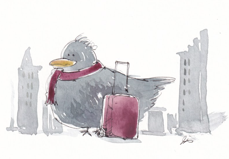 Pigeon Travels with Suitcase - Watercolor - Signed Prints