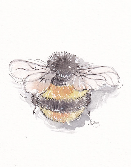 Napping Bee - Watercolor - Signed Prints