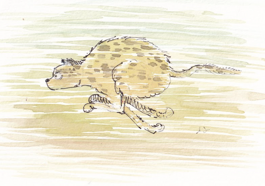 Cheetah Running - Watercolor - Signed Prints