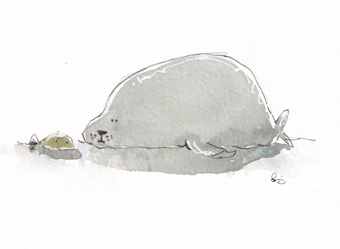 Seal and fish - Watercolor - Signed Prints